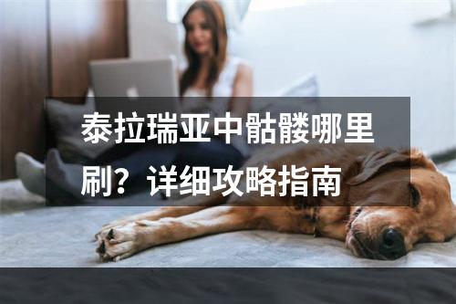 泰拉瑞亚中骷髅哪里刷？详细攻略指南