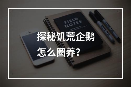 探秘饥荒企鹅怎么圈养？