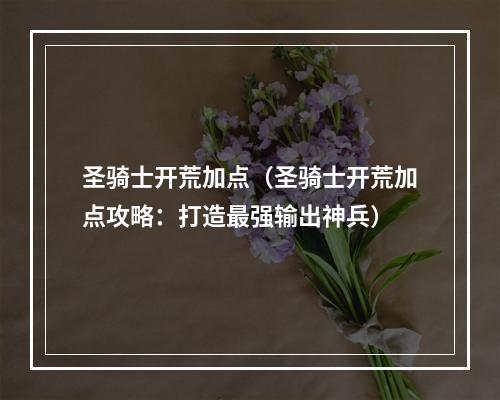 圣骑士开荒加点（圣骑士开荒加点攻略：打造最强输出神兵）