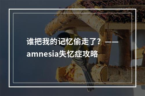 谁把我的记忆偷走了？——amnesia失忆症攻略