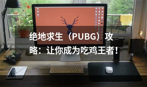 绝地求生（PUBG）攻略：让你成为吃鸡王者！