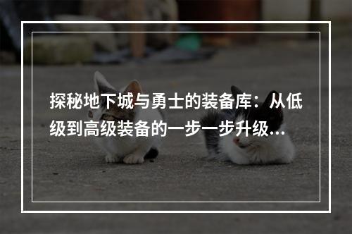 探秘地下城与勇士的装备库：从低级到高级装备的一步一步升级之路