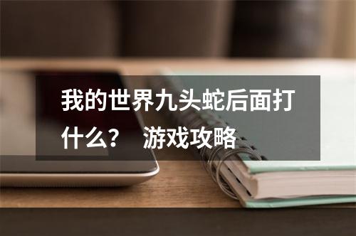 我的世界九头蛇后面打什么？  游戏攻略