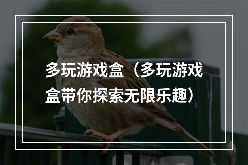 多玩游戏盒（多玩游戏盒带你探索无限乐趣）