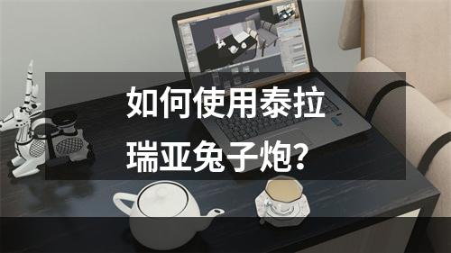 如何使用泰拉瑞亚兔子炮？