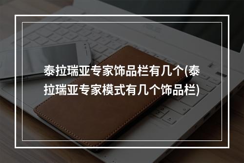 泰拉瑞亚专家饰品栏有几个(泰拉瑞亚专家模式有几个饰品栏)