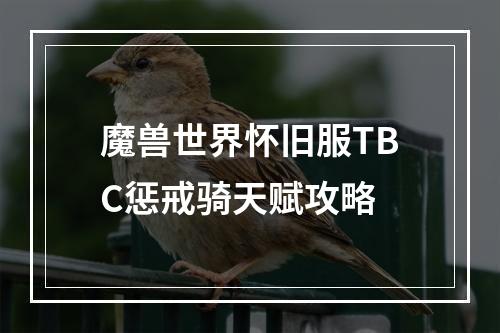 魔兽世界怀旧服TBC惩戒骑天赋攻略