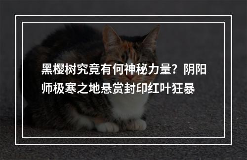 黑樱树究竟有何神秘力量？阴阳师极寒之地悬赏封印红叶狂暴