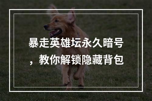 暴走英雄坛永久暗号，教你解锁隐藏背包