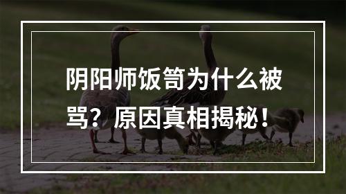 阴阳师饭笥为什么被骂？原因真相揭秘！