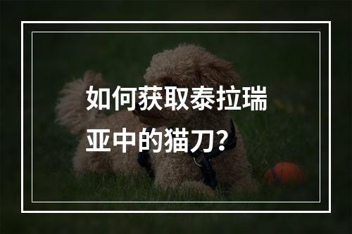 如何获取泰拉瑞亚中的猫刀？