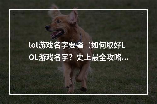 lol游戏名字要骚（如何取好LOL游戏名字？史上最全攻略！）