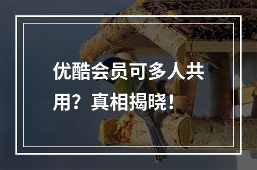 优酷会员可多人共用？真相揭晓！