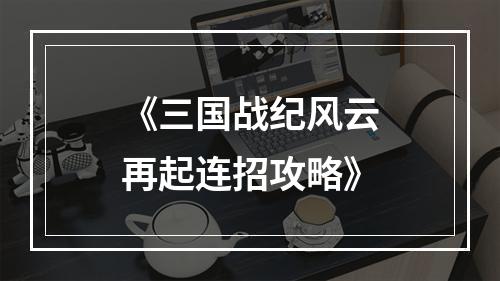 《三国战纪风云再起连招攻略》