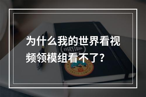 为什么我的世界看视频领模组看不了？