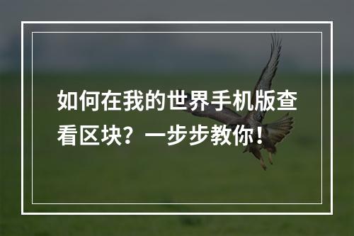 如何在我的世界手机版查看区块？一步步教你！