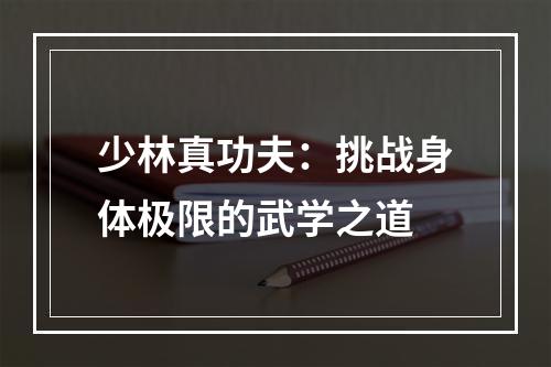 少林真功夫：挑战身体极限的武学之道