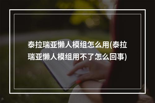 泰拉瑞亚懒人模组怎么用(泰拉瑞亚懒人模组用不了怎么回事)