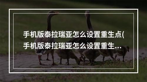 手机版泰拉瑞亚怎么设置重生点(手机版泰拉瑞亚怎么设置重生点?)