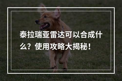 泰拉瑞亚雷达可以合成什么？使用攻略大揭秘！