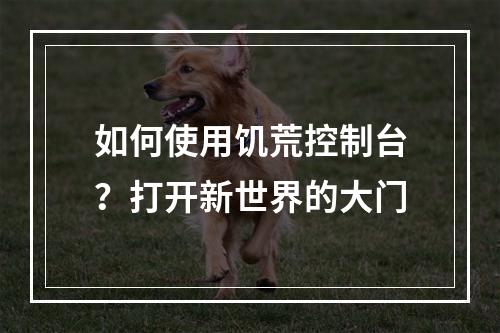 如何使用饥荒控制台？打开新世界的大门