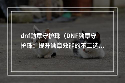 dnf勋章守护珠（DNF勋章守护珠：提升勋章效能的不二选择）