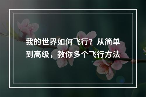 我的世界如何飞行？从简单到高级，教你多个飞行方法