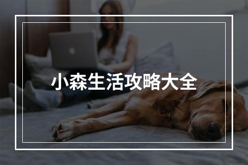 小森生活攻略大全