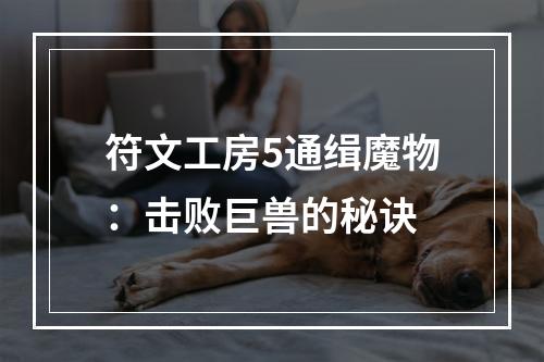 符文工房5通缉魔物：击败巨兽的秘诀