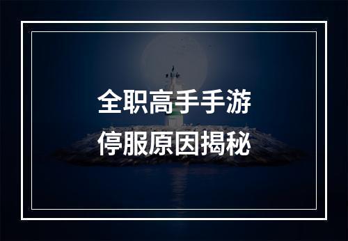 全职高手手游停服原因揭秘