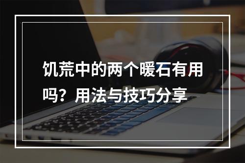 饥荒中的两个暖石有用吗？用法与技巧分享