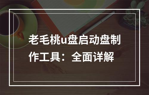 老毛桃u盘启动盘制作工具：全面详解