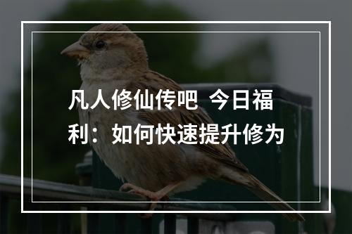 凡人修仙传吧  今日福利：如何快速提升修为