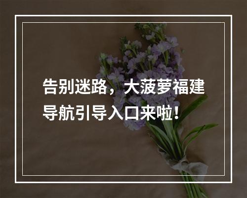 告别迷路，大菠萝福建导航引导入口来啦！