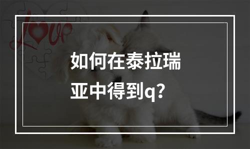 如何在泰拉瑞亚中得到q？