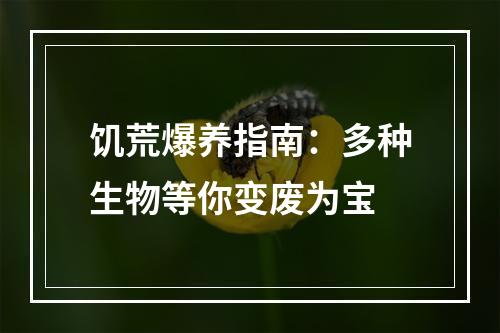 饥荒爆养指南：多种生物等你变废为宝