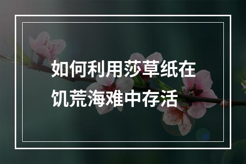 如何利用莎草纸在饥荒海难中存活