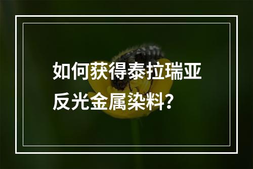 如何获得泰拉瑞亚反光金属染料？