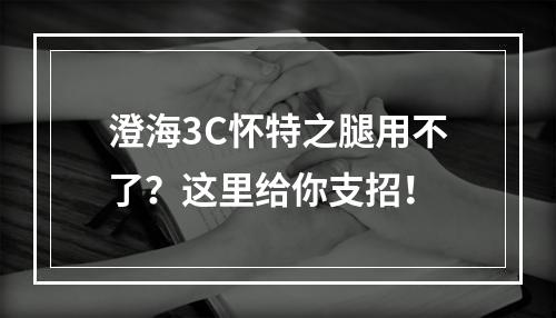 澄海3C怀特之腿用不了？这里给你支招！