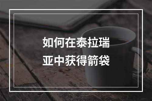 如何在泰拉瑞亚中获得箭袋