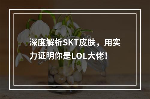 深度解析SKT皮肤，用实力证明你是LOL大佬！