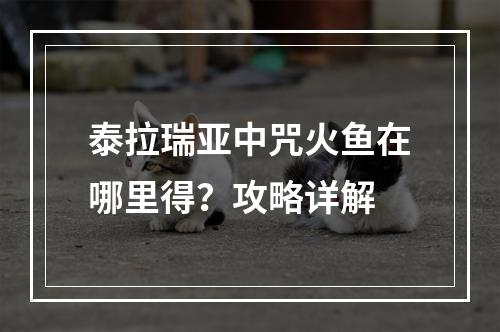 泰拉瑞亚中咒火鱼在哪里得？攻略详解