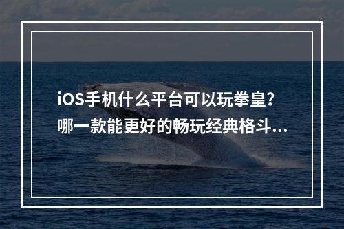 iOS手机什么平台可以玩拳皇？哪一款能更好的畅玩经典格斗游戏