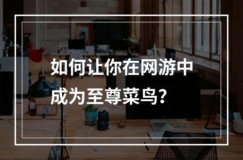 如何让你在网游中成为至尊菜鸟？