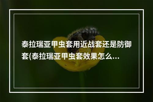 泰拉瑞亚甲虫套用近战套还是防御套(泰拉瑞亚甲虫套效果怎么样 甲虫套获取攻略)