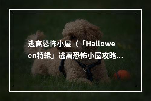 逃离恐怖小屋（「Halloween特辑」逃离恐怖小屋攻略指南：惊险体验十足的“逃脱游戏”）