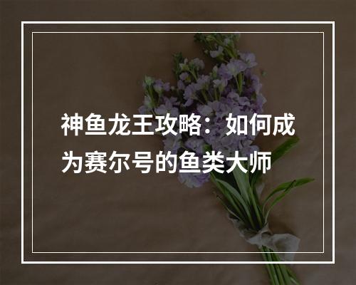 神鱼龙王攻略：如何成为赛尔号的鱼类大师