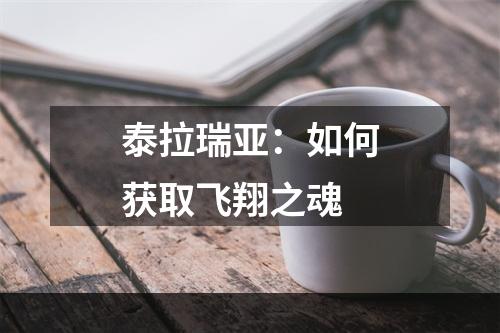 泰拉瑞亚：如何获取飞翔之魂