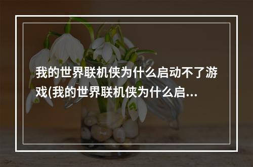 我的世界联机侠为什么启动不了游戏(我的世界联机侠为什么启动不了服务器)