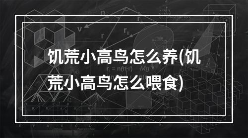 饥荒小高鸟怎么养(饥荒小高鸟怎么喂食)